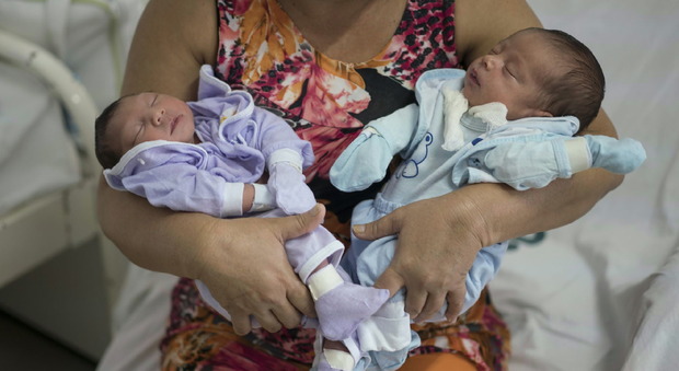 Virus Zika, primo caso in Europa: donna incinta contagiata in Spagna
