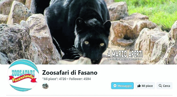 Clonato l'account su Facebook dello Zoosafari: la truffa con le carte di credito