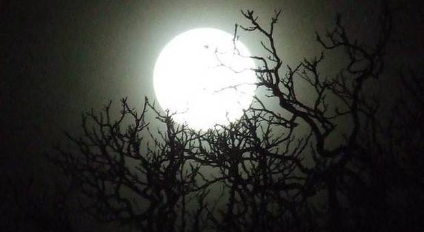 Superluna da record nel cielo di Novembre: la più grande e luminosa degli ultimi 68 anni