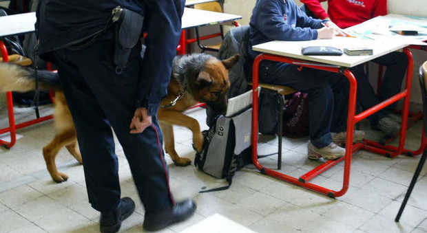Controlli della polizia a scuola con il cane antidroga