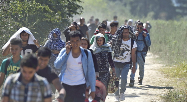 Migranti, quasi mille arrivi al mese in Friuli.. Fedriga: «Situazione ingestibile»