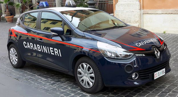 Le motorizzazioni della Clio per i Carabinieri sono da 1.5 litri dCi da 75 cavalli e 1.2 litri benzina sempre da 75 cavalli, tutte con cambio manuale a 5 rapporti.