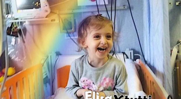 Nuove speranze per Elisa, trovato un donatore di midollo per la piccola malata di leucemia