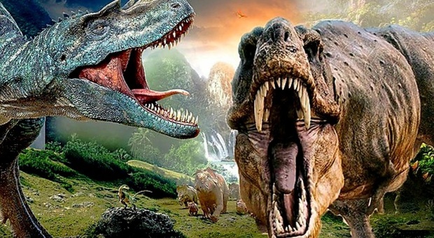 Dinosauri (immag repertorio diffusa da Ansa)