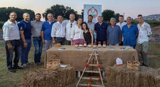 Associazione Pomodoro Cannellino Flegreo, via alla seconda stagione di raccolto