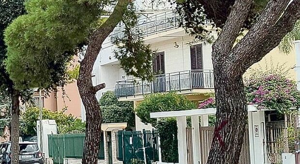 Verde urbano, a Lecce alberi e rami entrano in casa dalle finestre