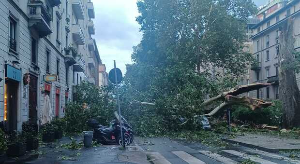 Milano, tempesta di grandine e fulmini nella notte: alberi sradicati, tetti volati via, allagamenti, blackout e danni ingenti