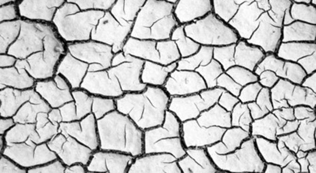 Emergenza siccità in Italia: circa 2 miliardi di danni