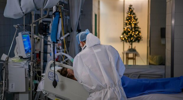 immagine Omicron, la variante Covid che minaccia il Natale: i reparti delle terapie intensive negli ospedali europei