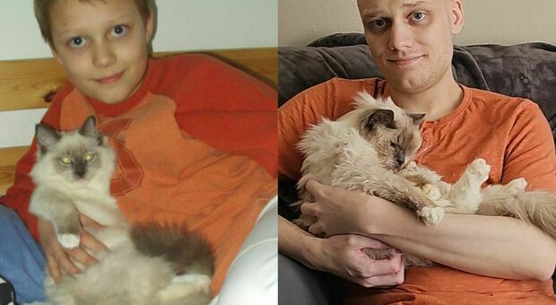 Ricrea la foto d'infanzia con il suo gatto di 20 anni prima di sottoporlo all'eutanasia: «Ti amerò per sempre, Gandalf»