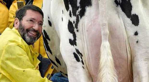 Marino, allevatore per un giorno in piazza: «E' l'unica vacca da mungere rimasta a Roma»
