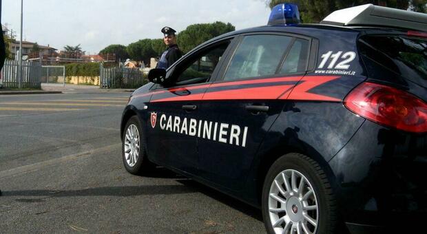 https://statics.cedscdn.it/photos/MED/99/40/8669940_20165848_carabinieri_donna_guinzaglio.jpg