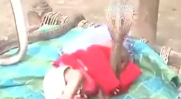 La neonata dorme e 4 cobra la vegliano: il video choc arriva dall'India