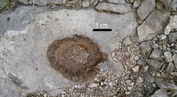 Le impronte di dinosauro di Sezze: domani un appuntamento alla scoperta del monumento naturale