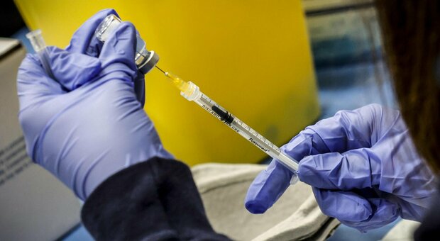 Vaiolo delle scimmie, corsa al vaccino: la Spagna acquisterà migliaia di dosi