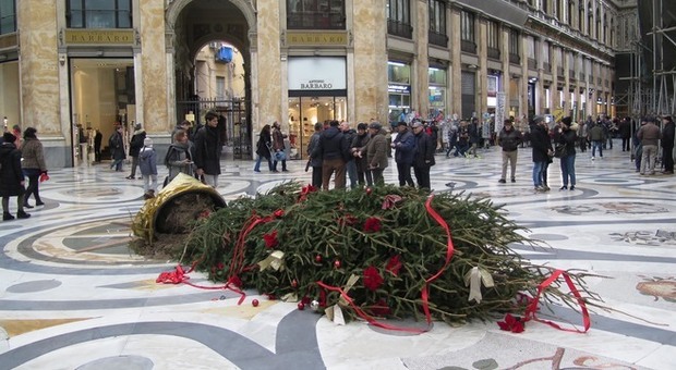 Napoli, vandalizzato per la terza volta l'albero di Natale: «Subito cancelli in Galleria Umberto»
