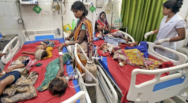 Encefalite, improvvisa epidemia fa strage in uno stato indiano: «Morti 152 bambini»