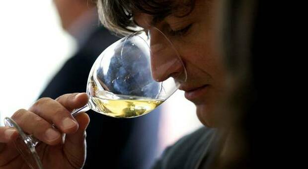 Prosecco, un vino completamento diverso dal Prosek che è un passito. Ma la denominazione di origine va tutelata