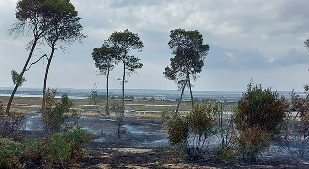 Incendio nella “Palude La Vela”: distrutti oltre due ettari