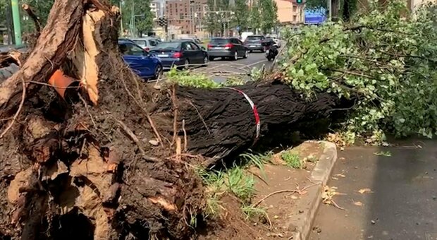 Ragazza di 16 anni morta a Brescia: uccisa da un albero abbattuto dal maltempo
