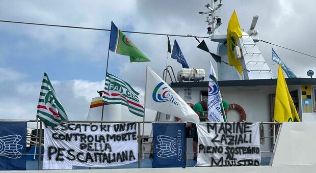 Associazioni per la tutela della pesca: «Italia compatta contro il piano di azione dell'Ue»