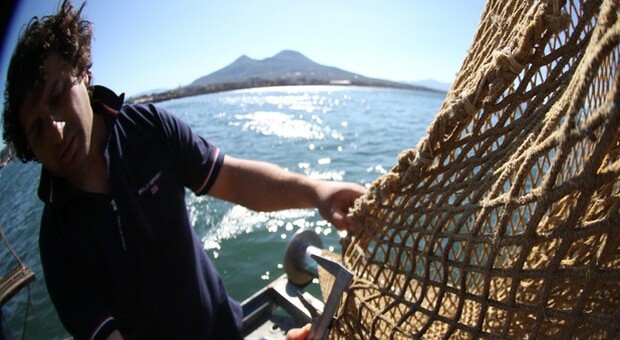 Ok Ue a 70 milioni di aiuti della Campania all'agri-pesca