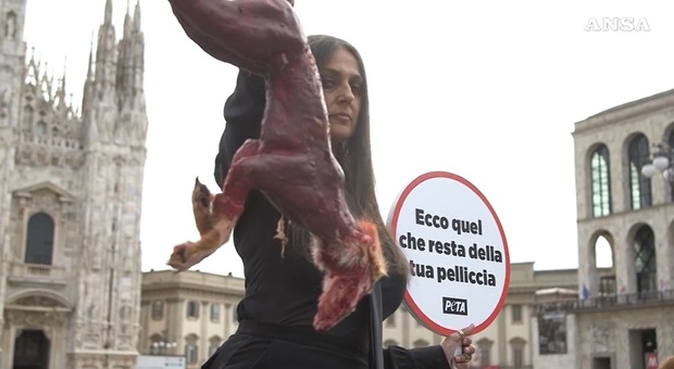 Rosita Celentano, protesta alla Milano Fashion Week: «Ecco cosa rimane delle vostre pellicce»