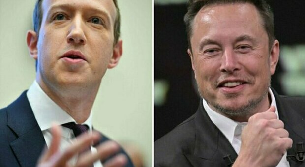 Musk vs Zuckerberg, salta la sfida in Italia. Il proprietario di Twitter a Sangiuliano: «Mark ha rifiutato l'offerta»