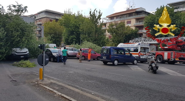 Roma, albero crolla sulle auto: persone intrappolate, una persona sotto choc