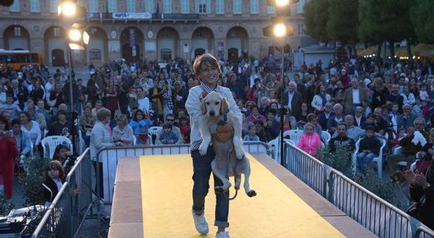 Civitanova, nove amici a quattro zampe adottati durante la kermesse in piazza
