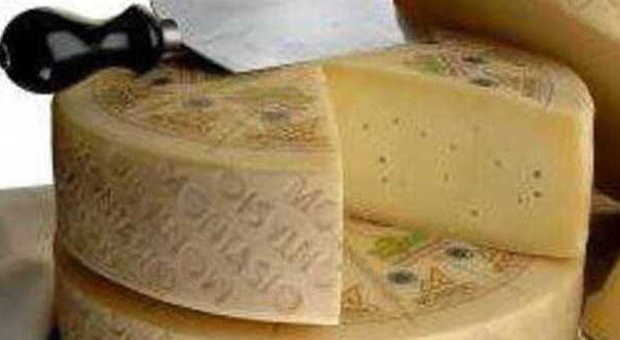 Montasio Dop resta tutelato nella Ue Impegno contro “formaggi in polvere”