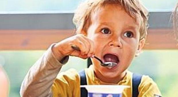 Celiachia, studioso di Ancona: la pappa con il glutine non fa male al bebè