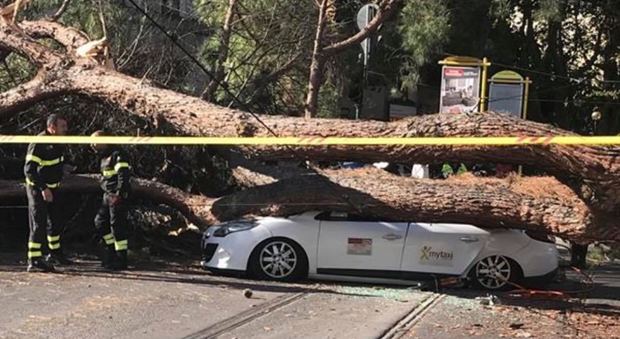 Cadono alberi per il vento forte: due morti. Attimi di paura anche in centro a Roma. Il maltempo manda i treni in tilt
