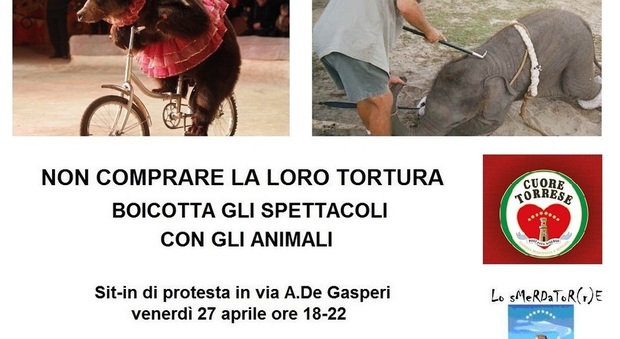 «No agli spettacoli con gli animali», sit in di protesta contro il circo a Torre del Greco