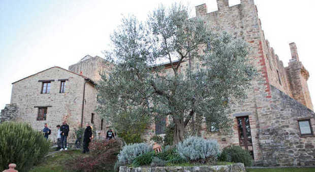 Frantoi Aperti in Umbria, la festa della cultura dell'Olio