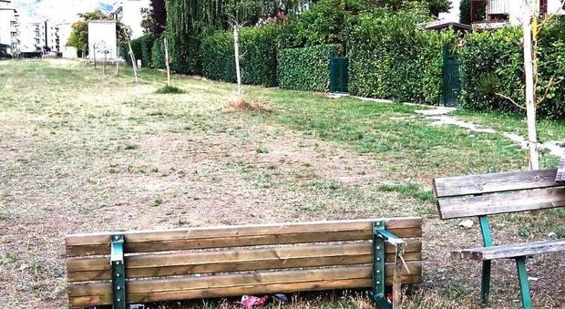 Rieti, a Campoloniano pochi alberi destinati a verde pubblico: la denuncia di Sauro Casciani