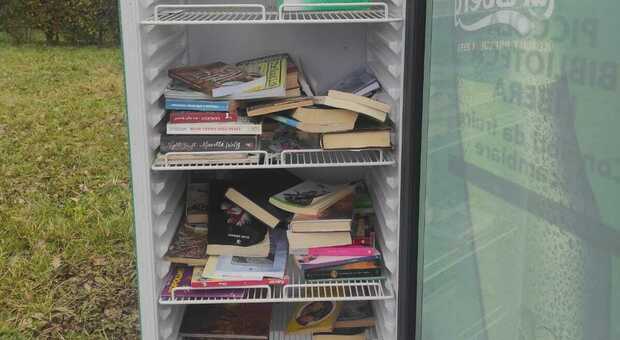 IN CENERE I libri del frigobook di Mellaredo incendiati dai vandali