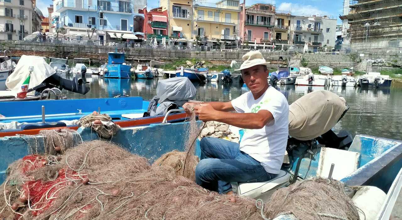 Bradisismo: «Mare pieno di chiazze di zolfo pesci ?cotti? per l?acqua calda»