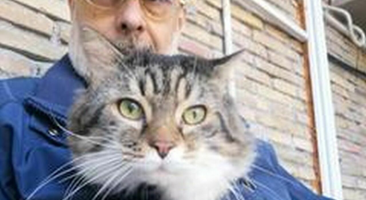 Roma, gatto sopravvive 40 giorni accanto al padrone morto: Mad Max cerca adozione.