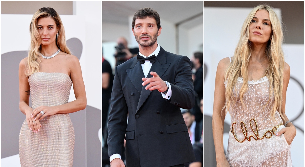 Venezia 81, pagelle look: Stefano De Martino perfetto (9), Sienna Miller iconica (8), Sveva Alviti raggiante (8)