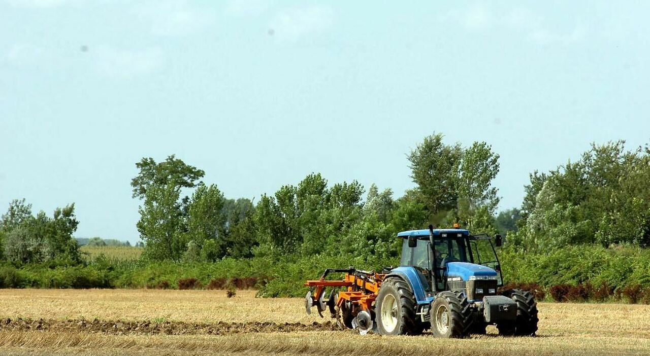 «Diecimila euro per trovare i miei tre trattori rubati». L