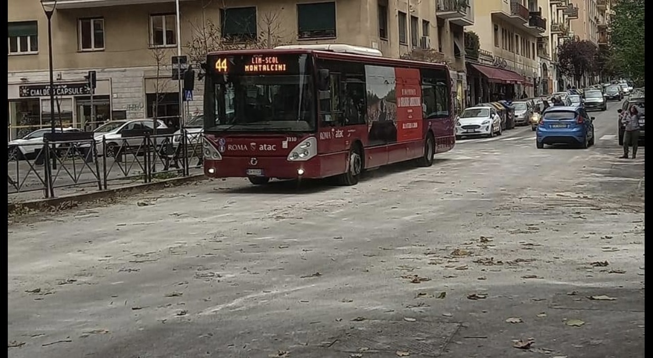 Roma, a piazza Scotti il guano causa una raffica di incidenti. I residenti: �A rischio la nostra sicurezza’