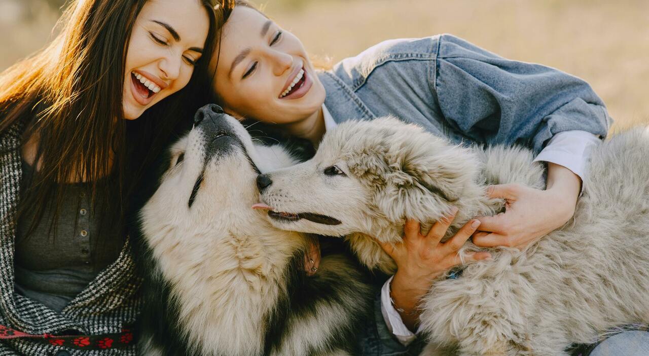 Adottare un cane fa bene alla salute. Lo studio: «Ecco i 4 benefici psicofisici»