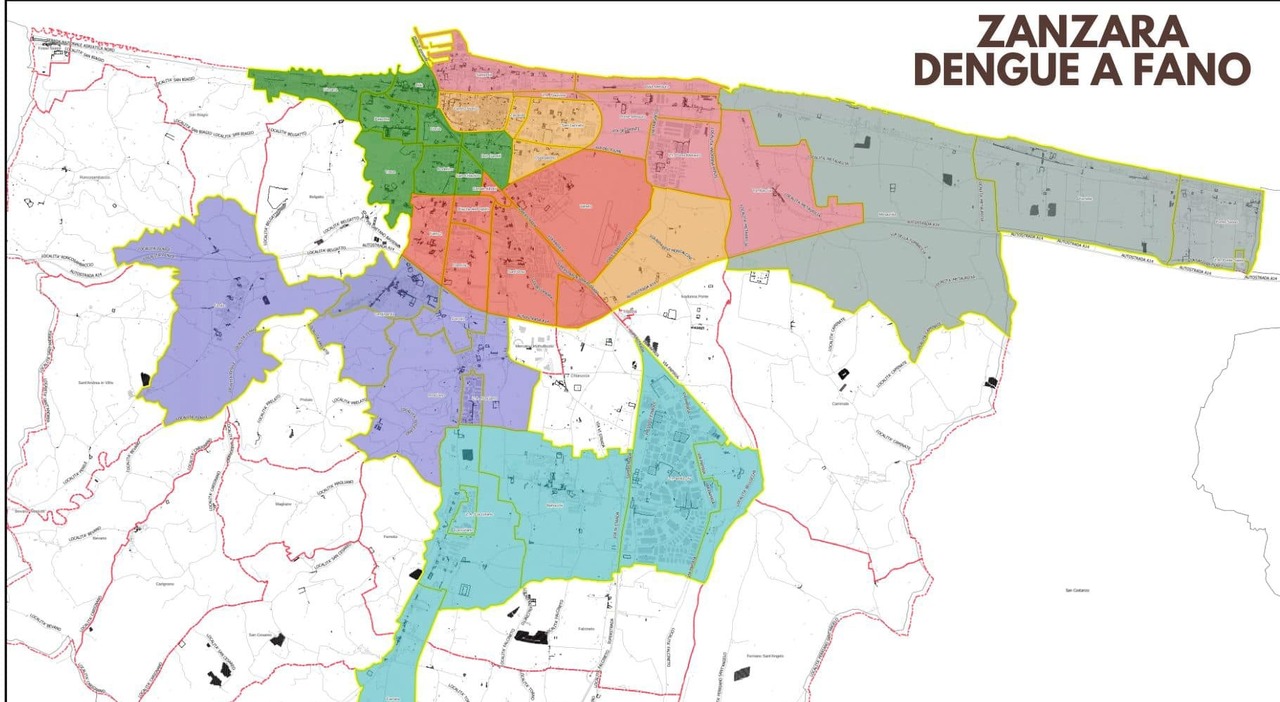 Paura dengue 