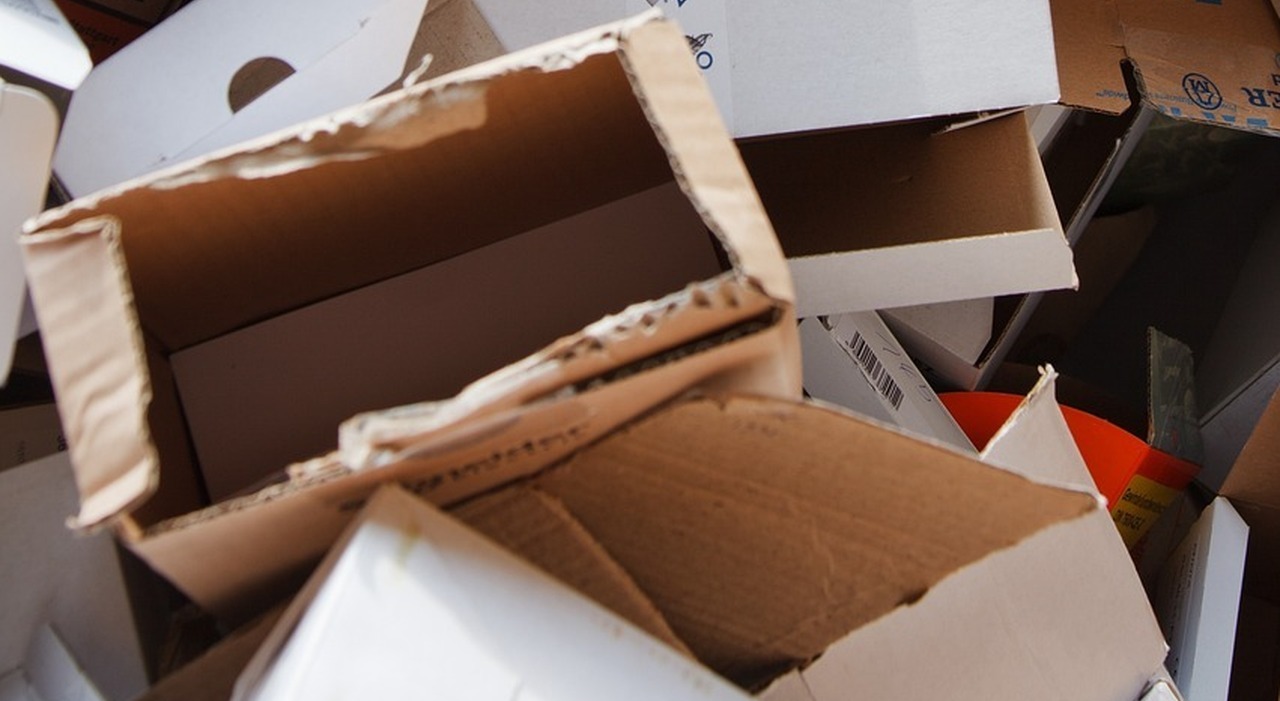 Temu, Shein e AliExpress bloccate dall'Unione Europea: maggiori controlli e tassa da pagare per le spedizioni sotto i 150 euro