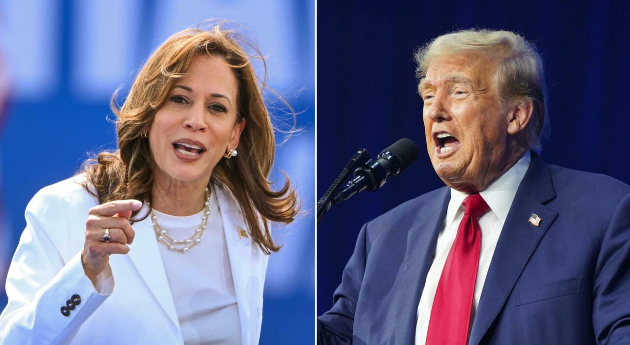 Trump Kamala 