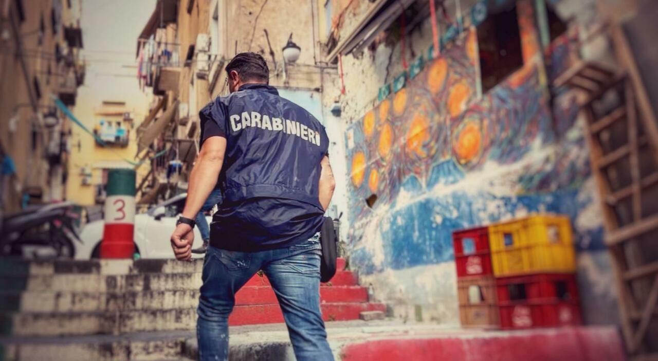 Italian Police Capture Fugitive in Naples After Days of Surveillance