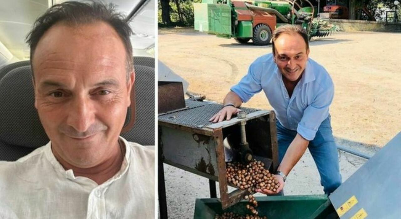 Agricoltore danneggia il noccioleto di Alberto Cirio (destinato alla Nutella): «Ero invidioso, lui è ricco e io no»