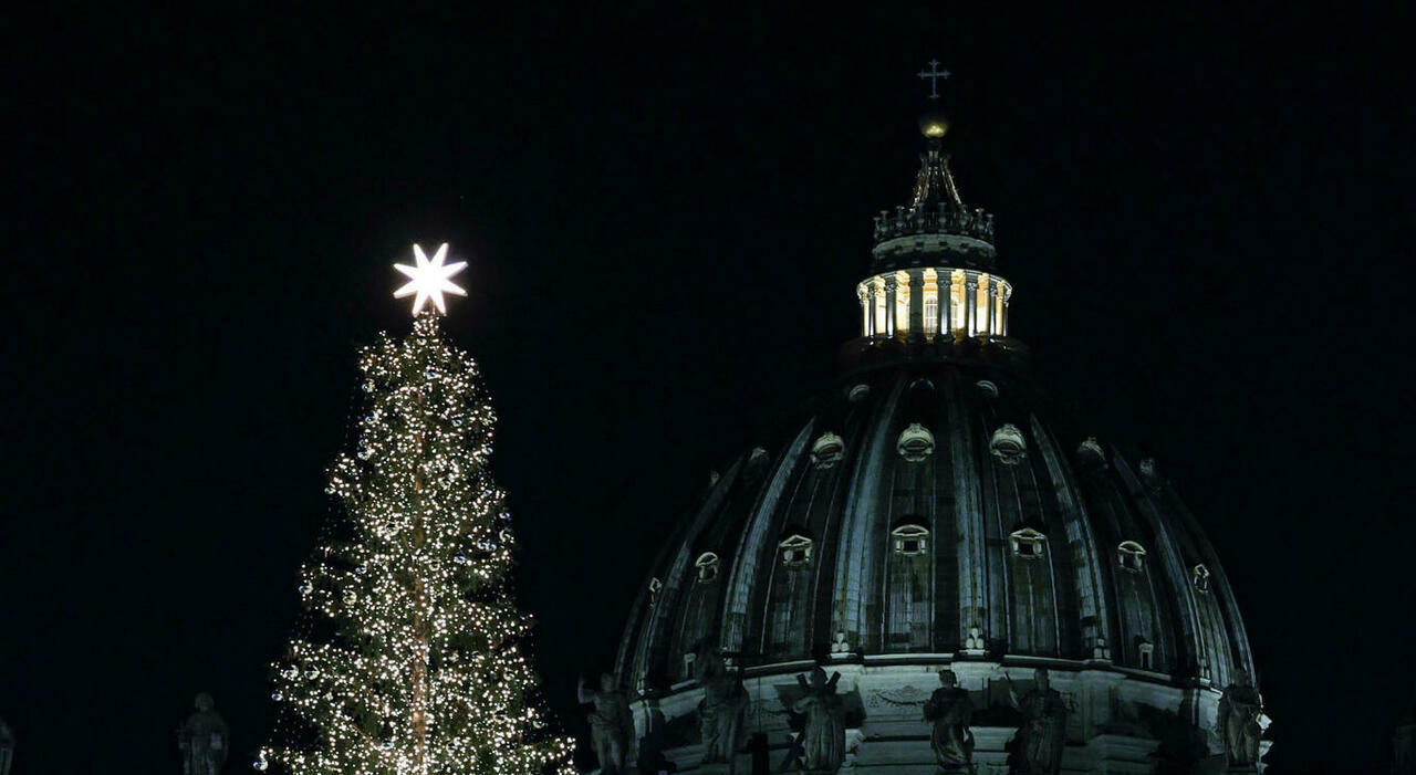 Vaticano, l'abete secolare del Trentino verrà abbattuto per il Papa. Il cardinale replica: «Scelta ecologica»