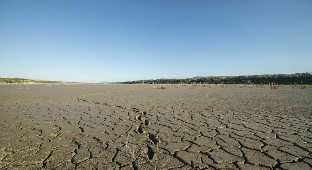 Troppe auto e pochi alberi: ecco perché al Sud il cambiamento climatico si fa sentire di più